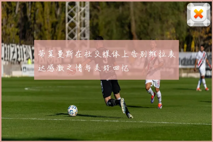 蒂莱曼斯在社交媒体上告别维拉表达感激之情与美好回忆